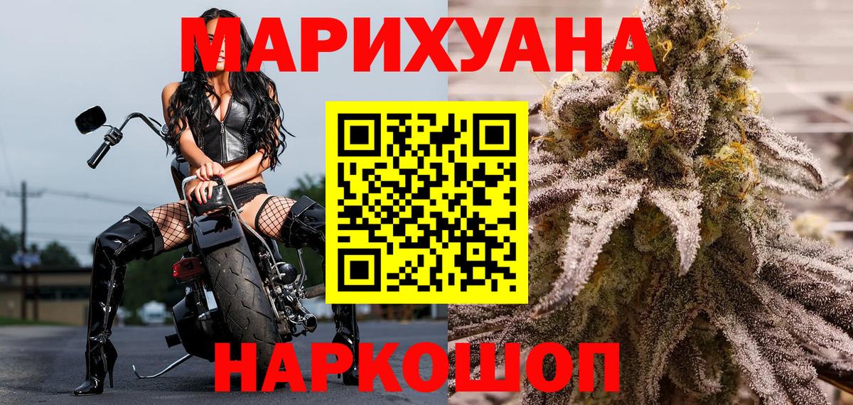 Канабис планчик Сокол